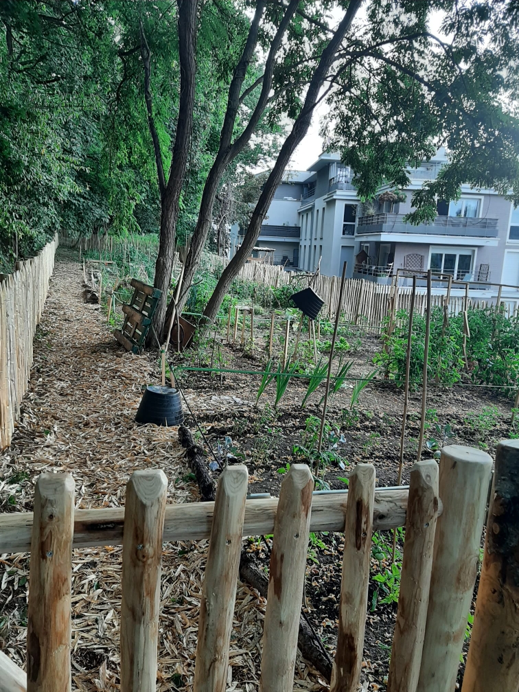 Jardins partagés Ricois