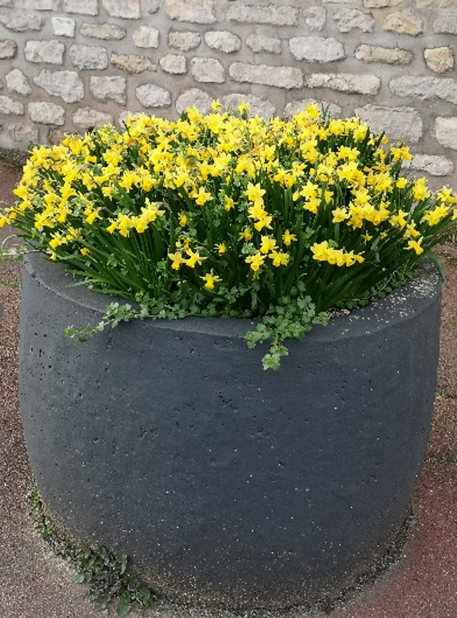 Pots remis en peinture