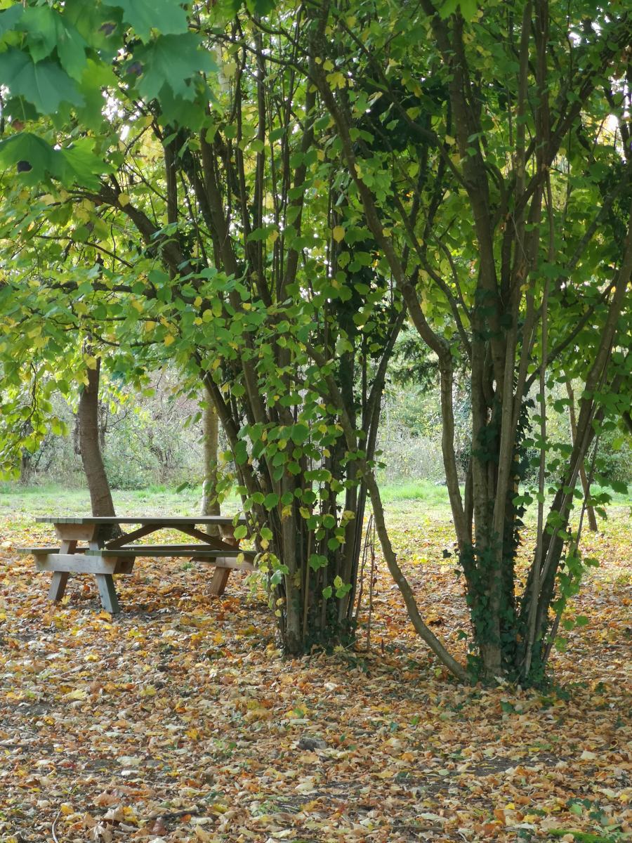 Table de pique nique aux Champs Droux