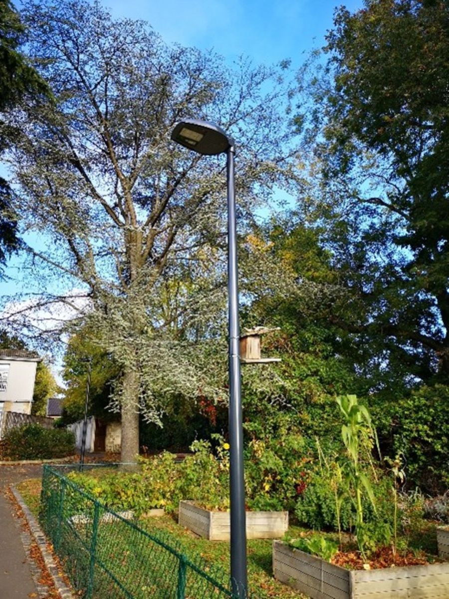 Un jardin potager pour l'école