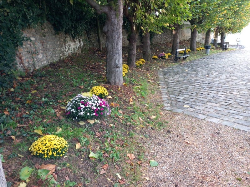 La Toussaint sur le parvis de l'église